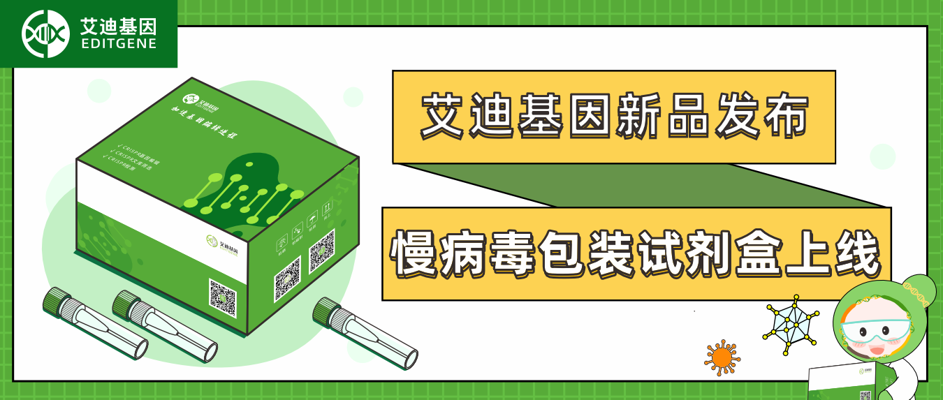 新品发布| 球盟会生物基因慢病毒包装试剂盒全新上线！高滴度高效率，自主操作无忧下游实验！